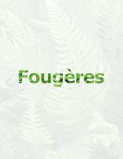 Fougères Collection