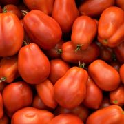 tomate-roma